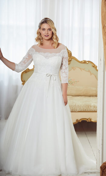 Graceful Collection WP356
