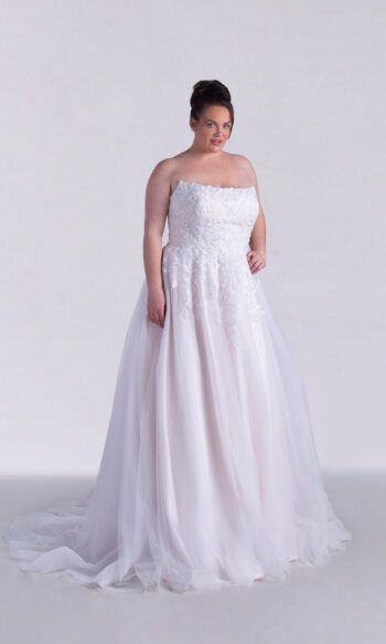 White Rose WSP084
